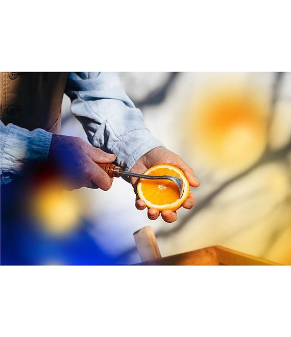 Acqua Di Parma Blu Mediterraneo Arancia La Spugnatura Eau De Toilette Limited Edition 5 Acqua Di Parma Blu Mediterraneo Arancia La Spugnatura Eau De Toilette Limited Edition - Afbeelding 3