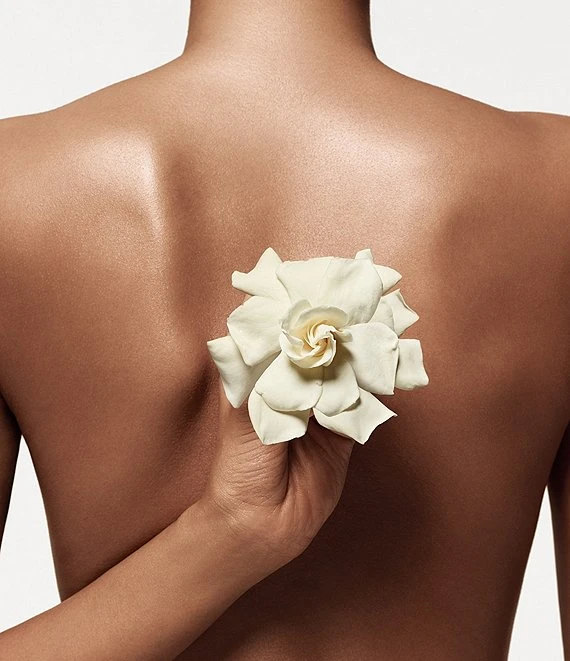 Donna Karan Cashmere Mist Deodorant-Antiperspirant Stick 3 Donna Karan Cashmere Mist Deodorant-Antiperspirant Stick