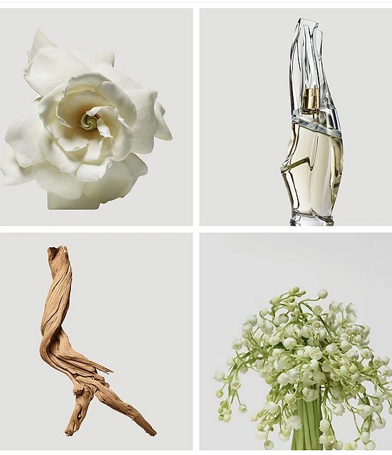 Donna Karan Cashmere Mist Deodorant-Antiperspirant Stick 5 Donna Karan Cashmere Mist Deodorant-Antiperspirant Stick - Afbeelding 3