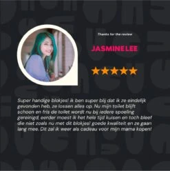 DONGOODS® Toiletblokjes Voor Inbouwreservoirs – WC-blokjes – Toiletblokken In Een Voordeelverpakking – 12 Stuks -PeeWee-winkel 1197x1200 1