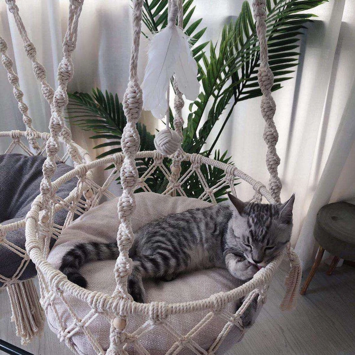 Bonbox Shop - Macrame Hangmat Voor Katten En Kittens - Kattenhammock - Hangmand 7 Bonbox Shop - Macrame Hangmat Voor Katten En Kittens - Kattenhammock - Hangmand - Afbeelding 5