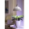 Groeilamp Led Florabooster 500 - 6,5W - Wit 2 Groeilamp Led Florabooster 500 - 6,5W - Wit -PeeWee-winkel 1677504262 1 600