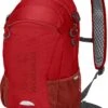 Jack Wolfskin Velocity 12 - Rugzak - Unisex - Rood 1 Jack Wolfskin Velocity 12 - Rugzak - Unisex - Rood -PeeWee-winkel 790x1200