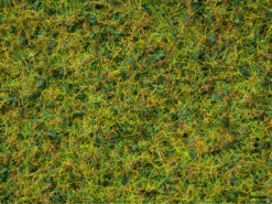 7077 Noch Master-Grasmischung Kuhweide 2,5 Bis 6 Mm, 100 G