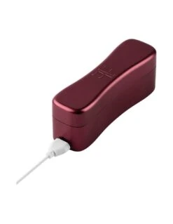FemmeFunn Booster Bullet Maroon 11 FemmeFunn Booster Bullet Maroon -PeeWee-winkel femmefunn booster bullet maroon 3