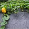 Gronddoek 1 × 12 M (90 G/m²) 2 Gronddoek 1 × 12 M (90 G/m²) -PeeWee-winkel gronddoek 1 m x 12 m 100gm 1553160272 1 600