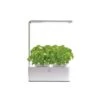 Mini Moestuin 'Jardin Secret' - 2 Potten -PeeWee-winkel mini moestuin met licht 1586242558 1 600