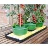 Plant- En Gietpot Groen - Set Van 3 Stuks 1 Plant- En Gietpot Groen - Set Van 3 Stuks -PeeWee-winkel plant en gietpot 1484054799 1 600