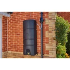 Regenton Muurmodel - 160 Liter 9 Regenton Muurmodel - 160 Liter -PeeWee-winkel regenton muurmodel 160 liter 1510043135 4 600