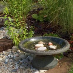 Vogelbad Rustiek XL - Kunststof -PeeWee-winkel vogelbad rustiek xl kunststof 1660120179 4 600