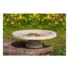 Vogelbad Op Voet 'Shenstone Theatre' Ø 44,5 Cm 2 Vogelbad Op Voet 'Shenstone Theatre' Ø 44,5 Cm -PeeWee-winkel vogelbad shenstone theatre 1620809242 1 600