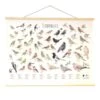 Wanddoek Tuinvogels -PeeWee-winkel wandkaart tuinvogels 1541511363 1 600